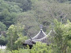 -第一山景区
