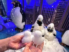 -北方暖暖温泉洗浴(沈阳北站店)