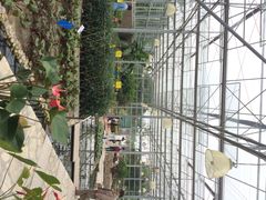 多利农庄有机体验馆-上海多利农业发展有限公司