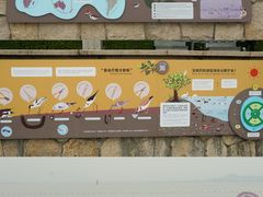 -深圳湾公园(南山区)