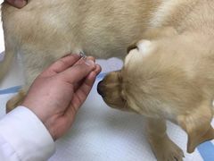 -惠康宠物医院(华能路店)