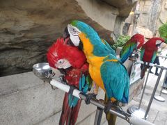 游乐设施-上海欢乐谷