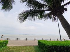 -深圳湾公园(南山区)