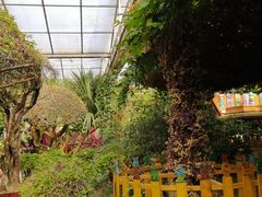 -呀路古热带植物园