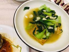 小白菜溜豆腐-九头鸟酒家(四道口店)