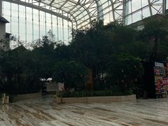 -成都环球中心天堂洲际大饭店