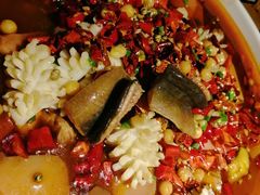 -蜀锦堂·川味现炒(襄阳武商汇店)