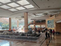 -南京维景国际大酒店(南京博物院店)