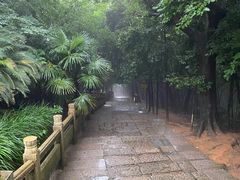 -珞珈山-售票处