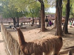 -鄂尔多斯野生动物园