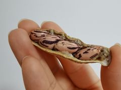 现炒七彩花生-盒马鲜生(189购物中心店)