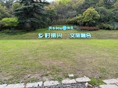 -树山生态村