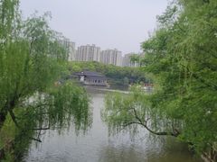 -南汇桃花村