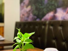 -大洋家·精品潮汕菜·生腌砂锅粥(天河东路店)