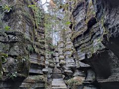 -梭布垭石林景区