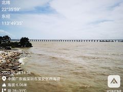 -宝安西湾红树林湿地公园