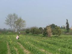 -良渚文化村
