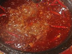 -蜀辣居鲜货老火锅(双流万达店)
