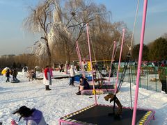 -大兴滨河森林公园