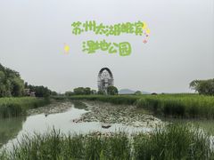 -苏州太湖湖滨国家湿地公园