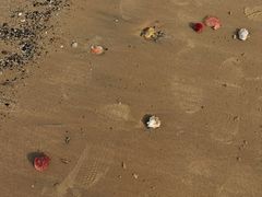 -金沙滩海水浴场(万平口景区4号门扬帆广场店)