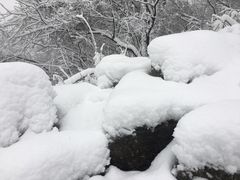 -紫金山天文台