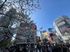 -涩谷全向十字路口