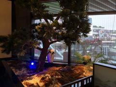 -绿茶餐厅(成都大悦城店)