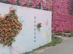 -北京凤凰岭