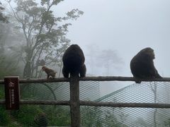 -峨眉山风景名胜区
