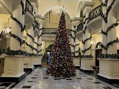 -Salon de Ville浦江汇(上海外滩华尔道夫酒店店)