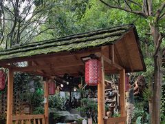 -青城甲(青城山店)