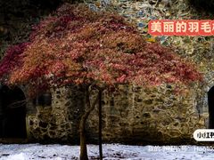 -香山公园