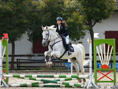 -松声马术俱乐部