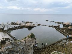 -养马岛旅游度假区