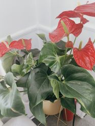 -LJOY丽锦造型·烫发染发