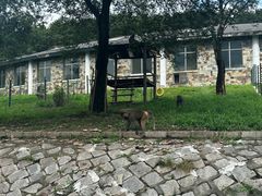 -哈尔滨北方森林动物园