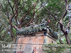 -普陀山风景区-佛顶山