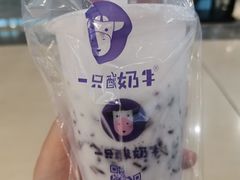 -一只酸奶牛(八一路店)