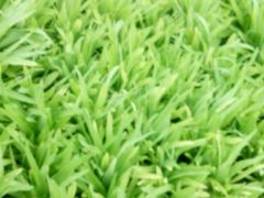 -金明姬铁锅炖(东坝店)