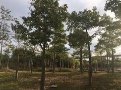 -琅岐红光湖公园