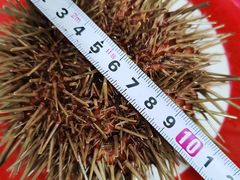 -丁字口海鲜热炒·烧烤大排档