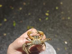 -海珠湖公园