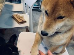 -小时光咖啡馆(北锣鼓巷店)