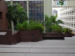 香港大学-香港大学
