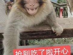 -重庆云阳龙缸景区