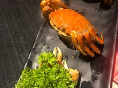 -沪小胖小龙虾(淮海中路旗舰店)