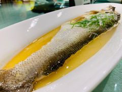 太湖白鱼-金枝玉叶上海人家食府(三里河店)