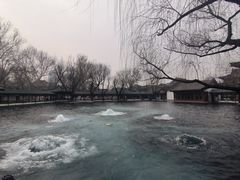 -百脉泉景区