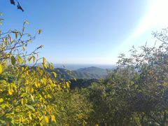 -香山公园